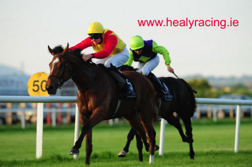 Brendan Brackan Down Royal 1 June